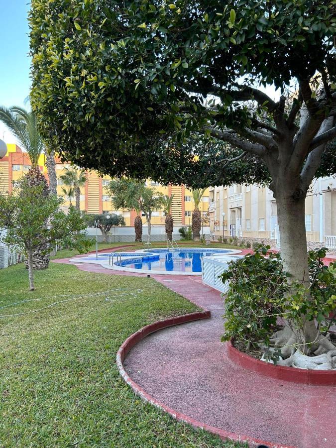Apartament Mariha Torrevieja Esterno foto